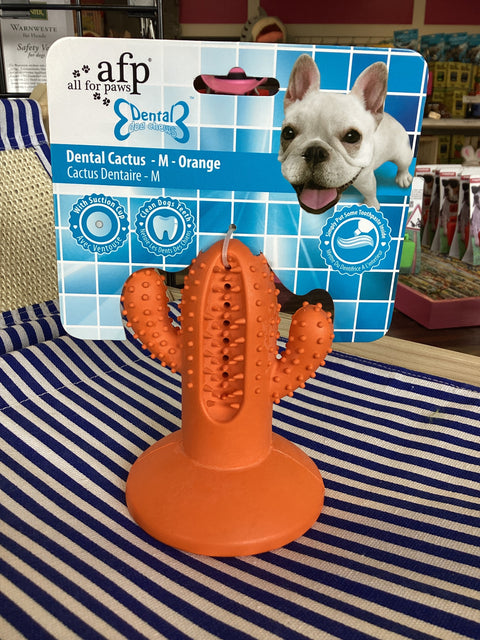 Cactus Dental Chew