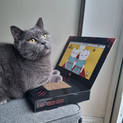 MyMeow - Laptop - Cat Scratcher