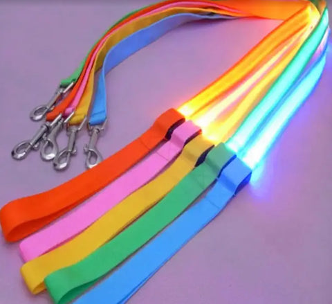 Light Up Dog Leash