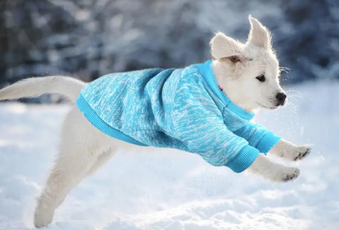 Warm Pullover Dog Sweater