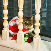 HugSmart Pet - Holiday Feline  | Xmas Tree - Cat Toy