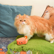 HugSmart Pet - Kitten Party | Carrot Cake - Cat Toy
