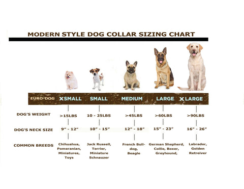 Modern Style Soft Leather Martingale Euro Dog Collar