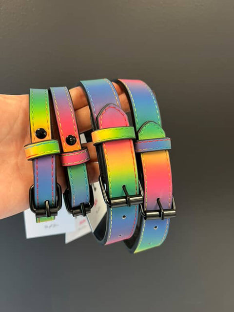 Reflective Rainbow Collar
