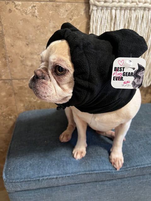 Black Frenchie Snood