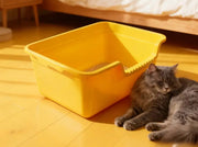 Plastic Litter Box