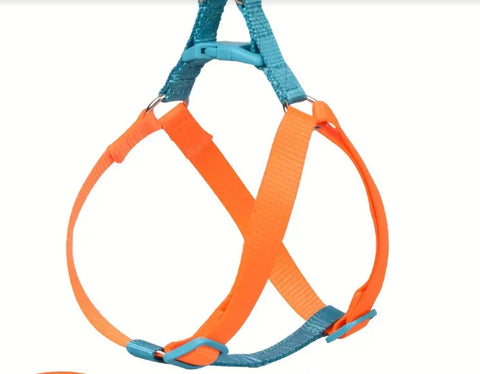 Colour Block Harness