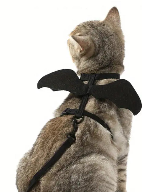 Bat Cat Harness
