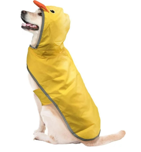 Best Rain Coat Ever