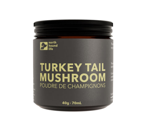 Turkey Tail Mushroom