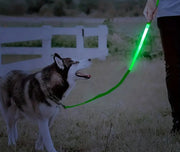 Light Up Dog Leash