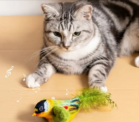 Chirping Bird Cat Toy