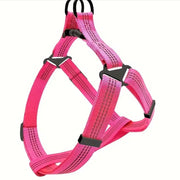 Reflective step in harness