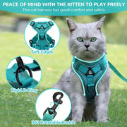 Escape-Proof Cat Harness