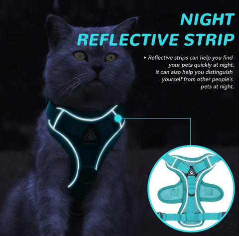 Escape-Proof Cat Harness