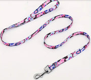 Assorted Design Leash