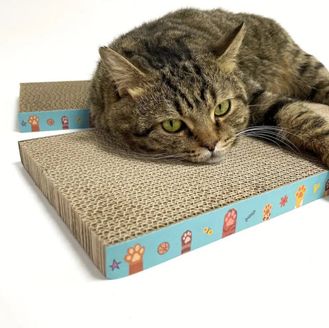 Double-sided Cat Scratcher