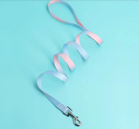 Ombre Leash