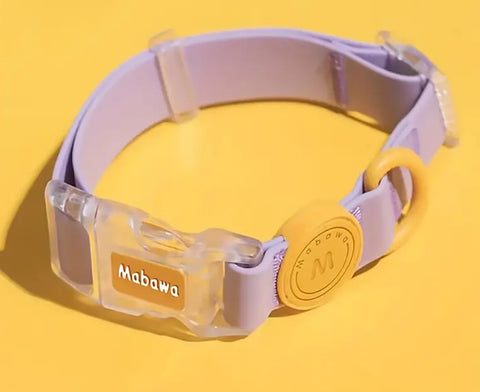 Waterproof Collar with Transparent Buckle