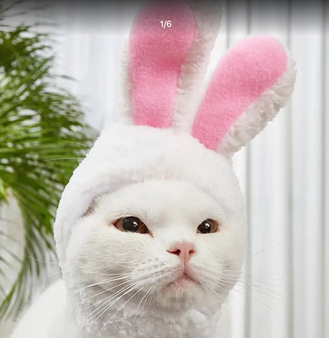 Bunny Hat Costume