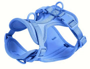 Athletic Harness