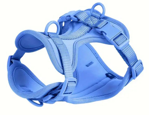 Athletic Harness
