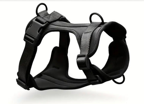 Athletic Harness