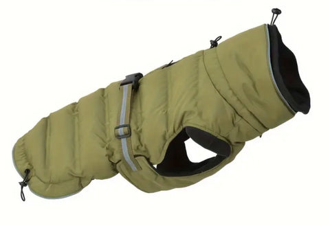 Green Winter Coat