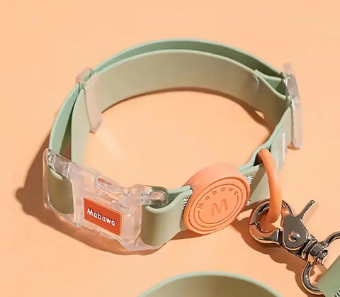 Waterproof Collar with Transparent Buckle