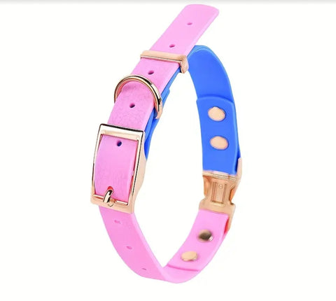 Colour Block Collar