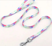 Assorted Design Leash