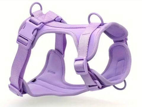 Athletic Harness