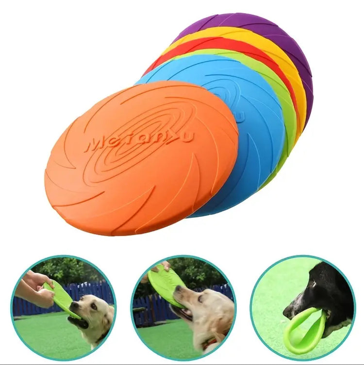 Dog frisbee shop best sale