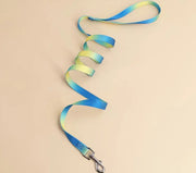 Ombre Leash