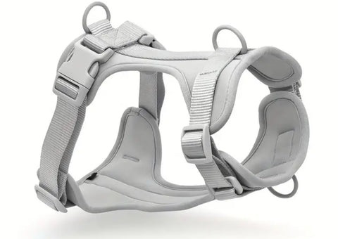 Athletic Harness