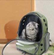 Dome Pet Backpack