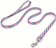 Assorted Design Leash