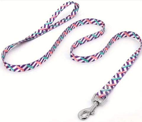 Assorted Design Leash