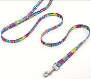 Assorted Design Leash