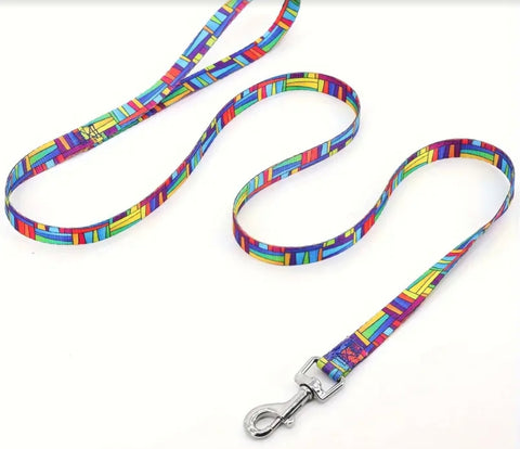 Assorted Design Leash