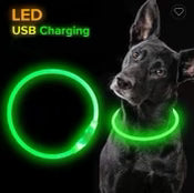USB Rechargeable Light Up Collar