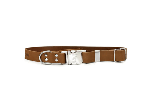 Modern Style Soft Leather Quick-Release Euro-Dog Collar