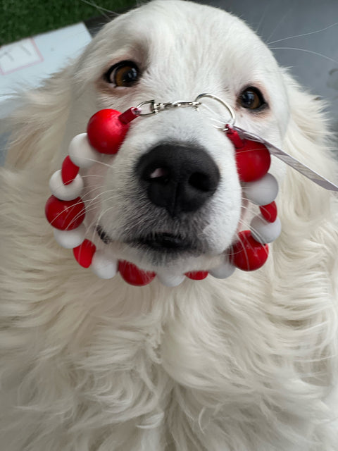 Victoria Bulldog Society Beaded Collar