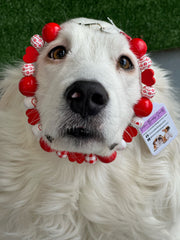 Victoria Bulldog Society Beaded Collar
