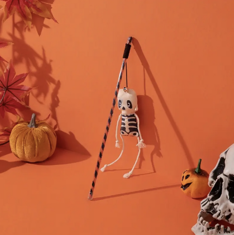 Skelton cat toy