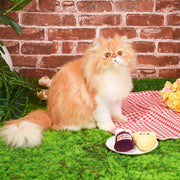 HugSmart Pet - Kitten Party | Cheese & Wine - Cat Toy