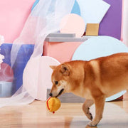 HugSmart Pet - Castle Story | Princess - Dog Ball Toy