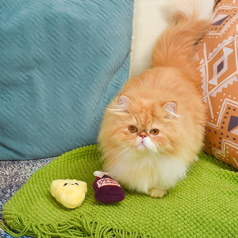 HugSmart Pet - Kitten Party | Cheese & Wine - Cat Toy