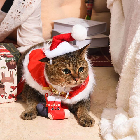 HugSmart Pet - Holiday Feline  | Lump of Coal - Cat Toy