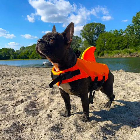Dog life jacket with shark fin